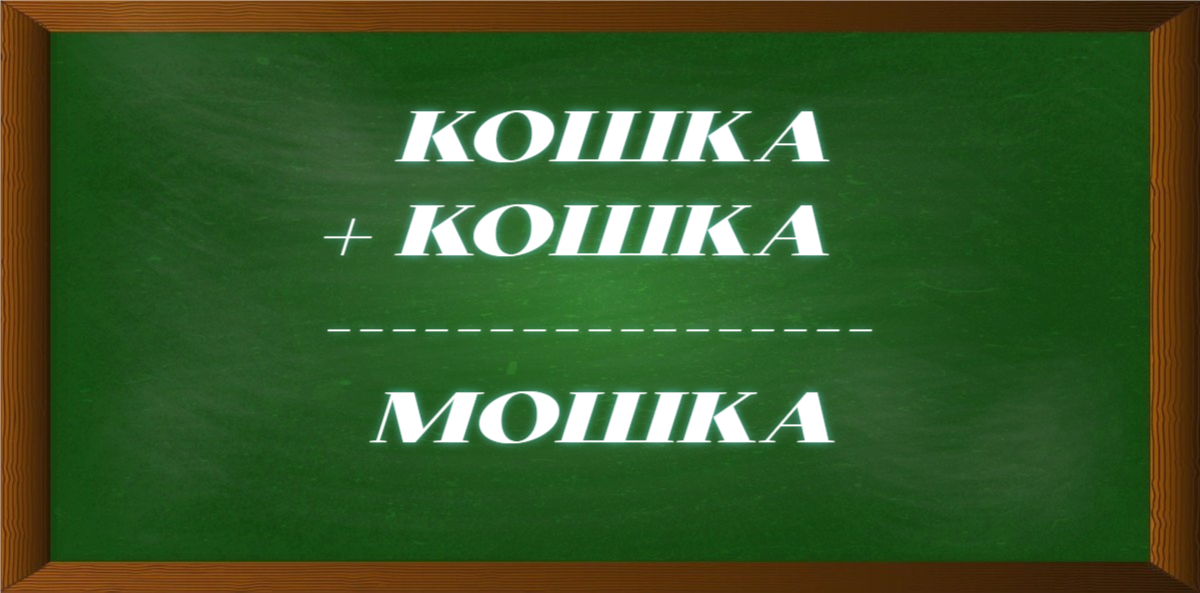 криптарифм кошка - мошка