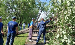 Последствия смерча в Кушве
