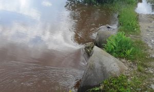 Из-за ливней река Шайтанка перешла через дамбу и топит села