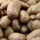 картофель