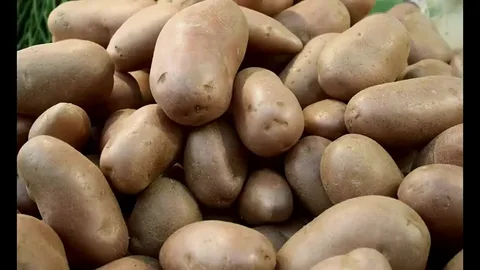 картофель