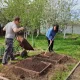 копают грядки