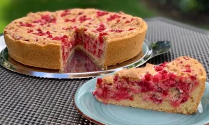 пирог из красной смородины