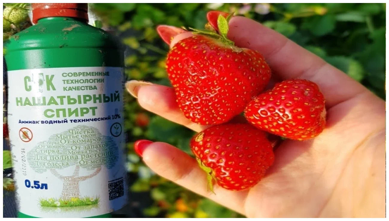 нашатырный спирт