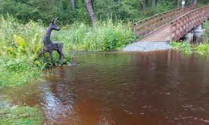 Парк «Бажовские места»