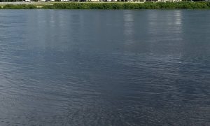 Река летом