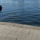 Водоем в Екатеринбурге