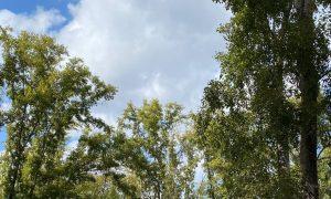 Парк в Екатеринбурге