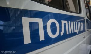 Машина полиции