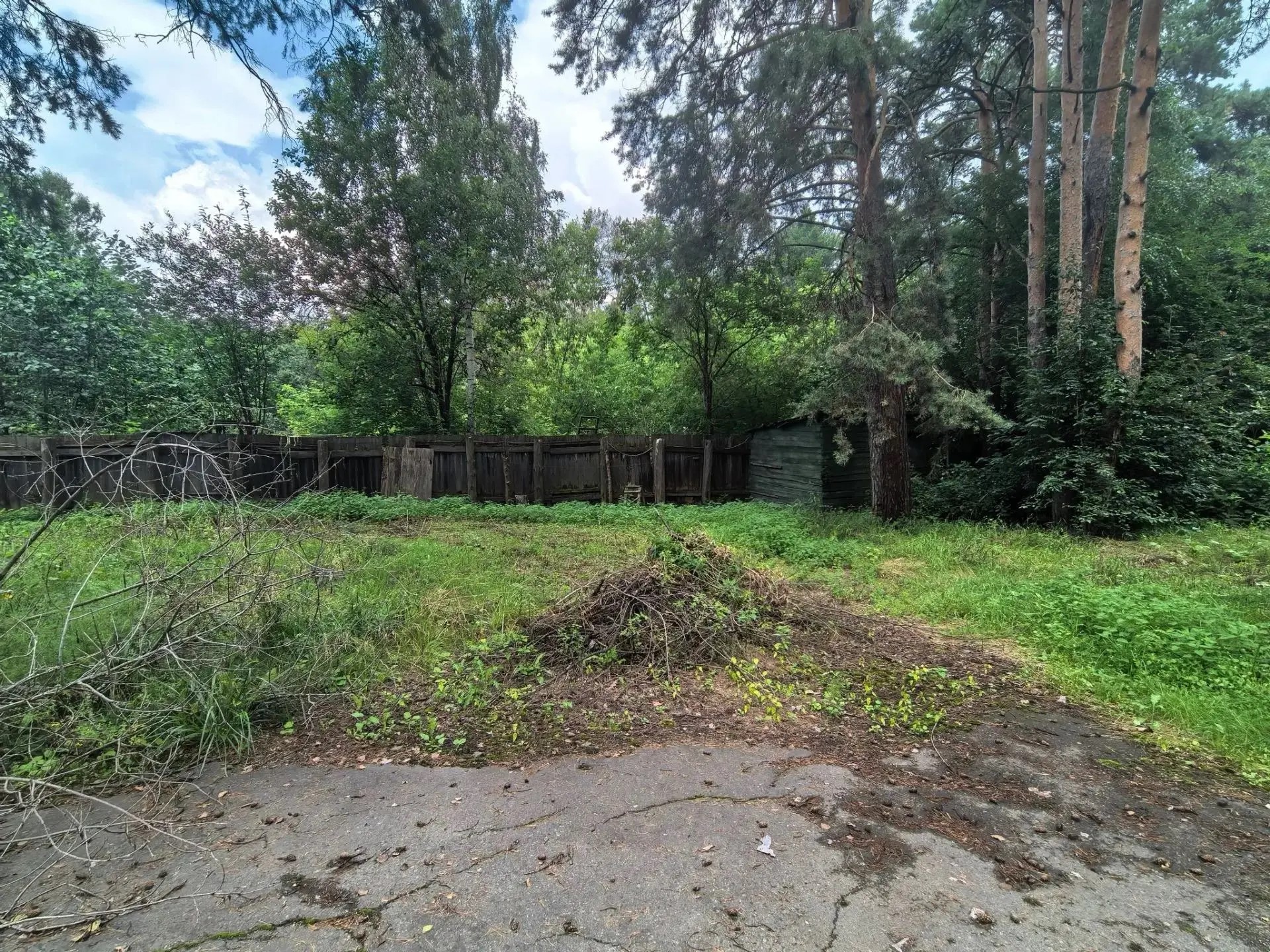Пустырь с травой