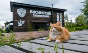 Висимский заповедник