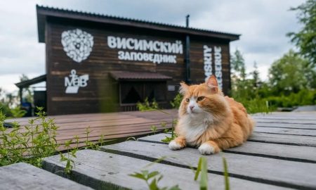 Висимский заповедник