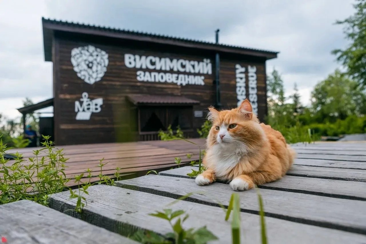 Висимский заповедник