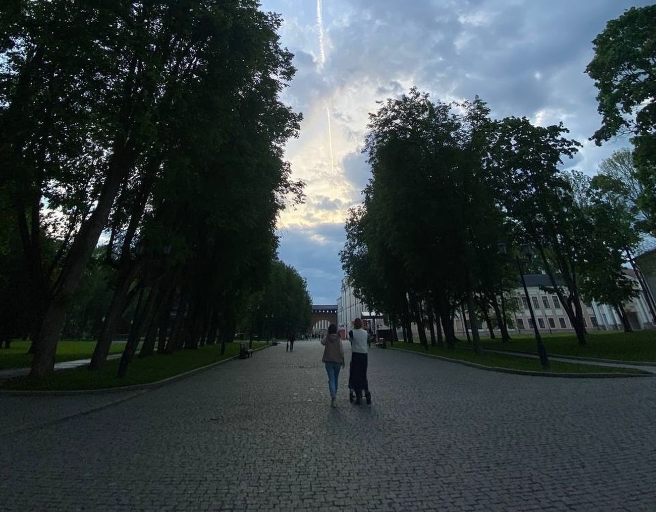 Женщины гуляют в парке