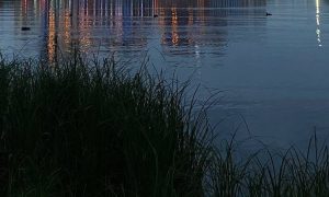 Река вечером