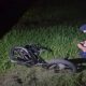 Подростка на мопеде сбили под Туринском