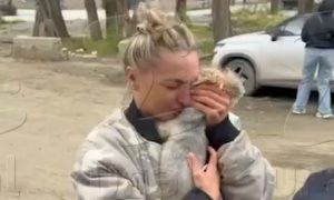 Девушка обнимает собаку