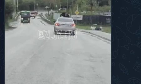 Поездка на крыше машины