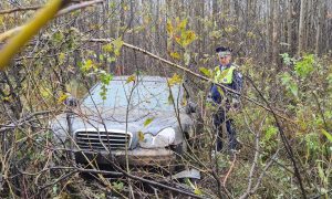 ДТП в Кушвинском районе