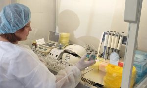 Исследование гонококковой инфекции