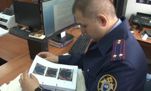 Следователь изучает материалы дела