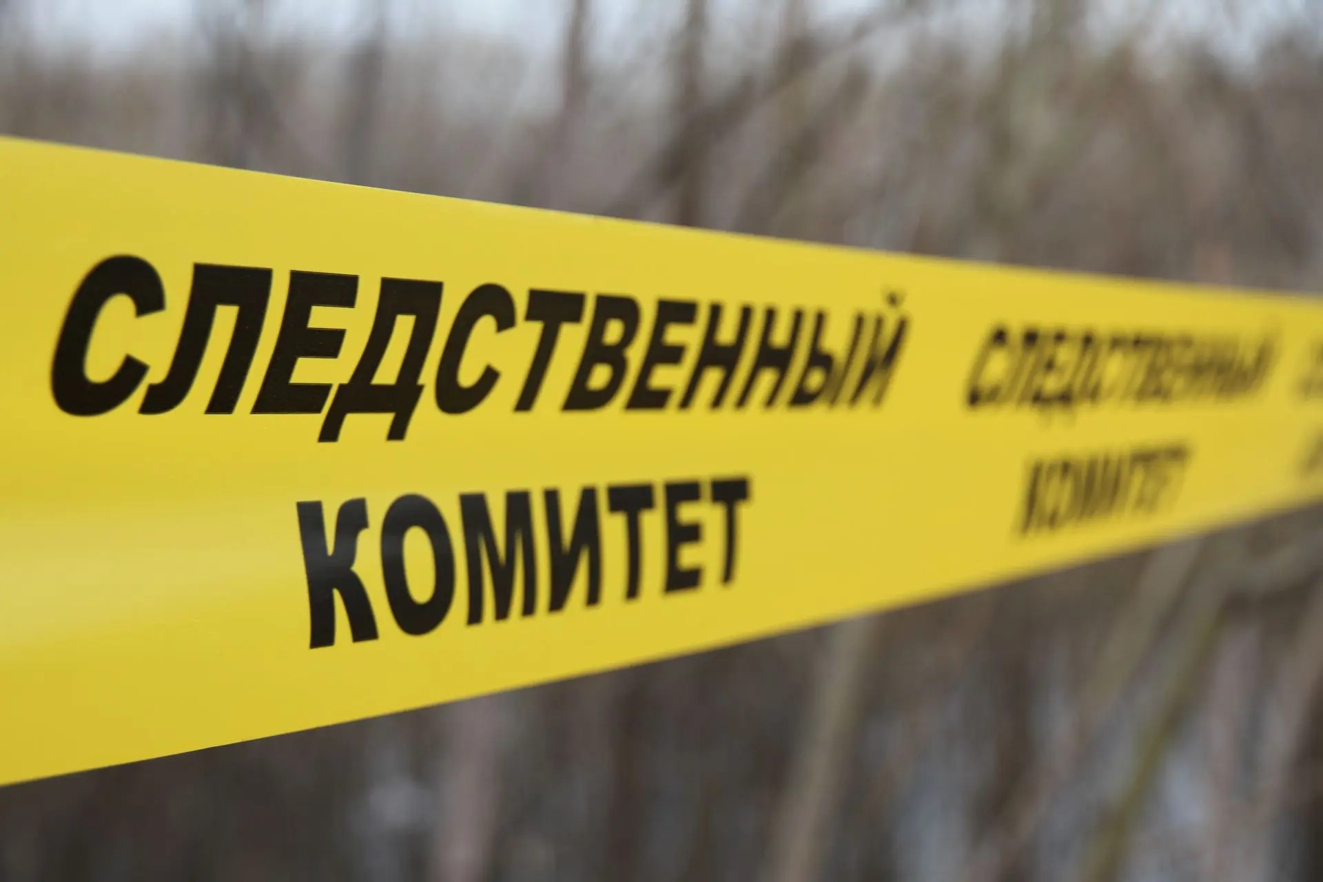 Следственный комитет
