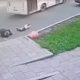 Падение из автобуса