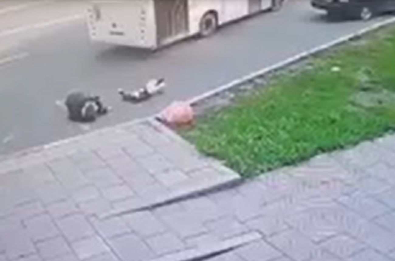 Падение из автобуса
