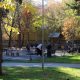 Прогулка в парке осенью
