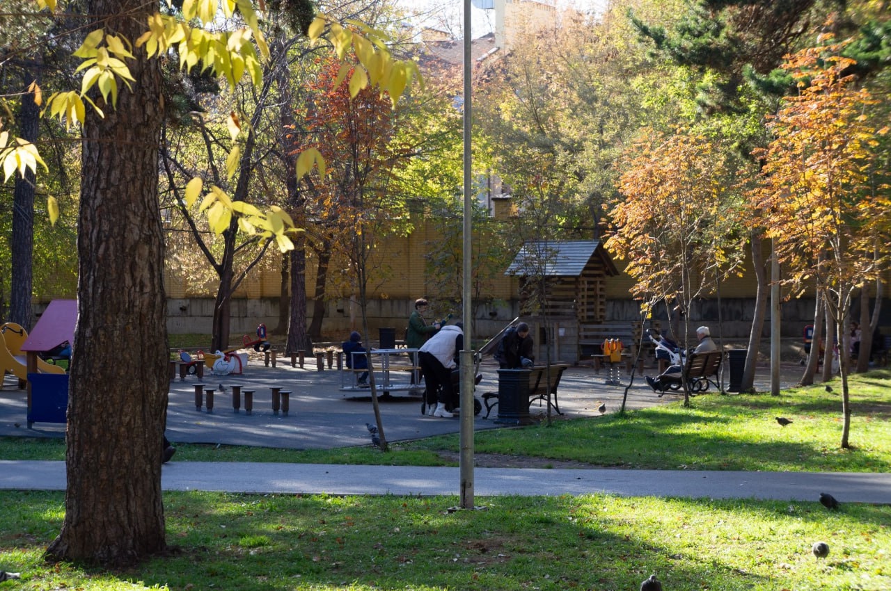 Прогулка в парке осенью