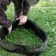 старая резина для защиты от насекомых