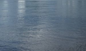 Водоем в ясную погоду