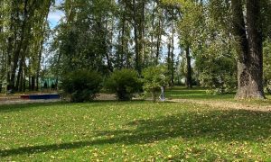 Парк ранней осенью