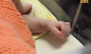 Новорожденный в перинатальном центре
