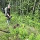 Место преступления в лесу