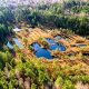 болото Свердловская область