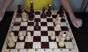 шахматы