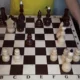 шахматы