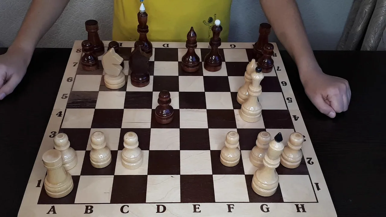 шахматы