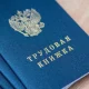 трудовая книжка