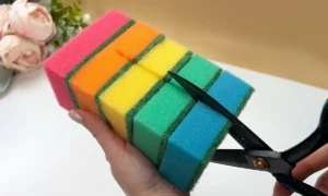 нарезанные на кусочки губки