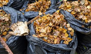 Листва в мешках