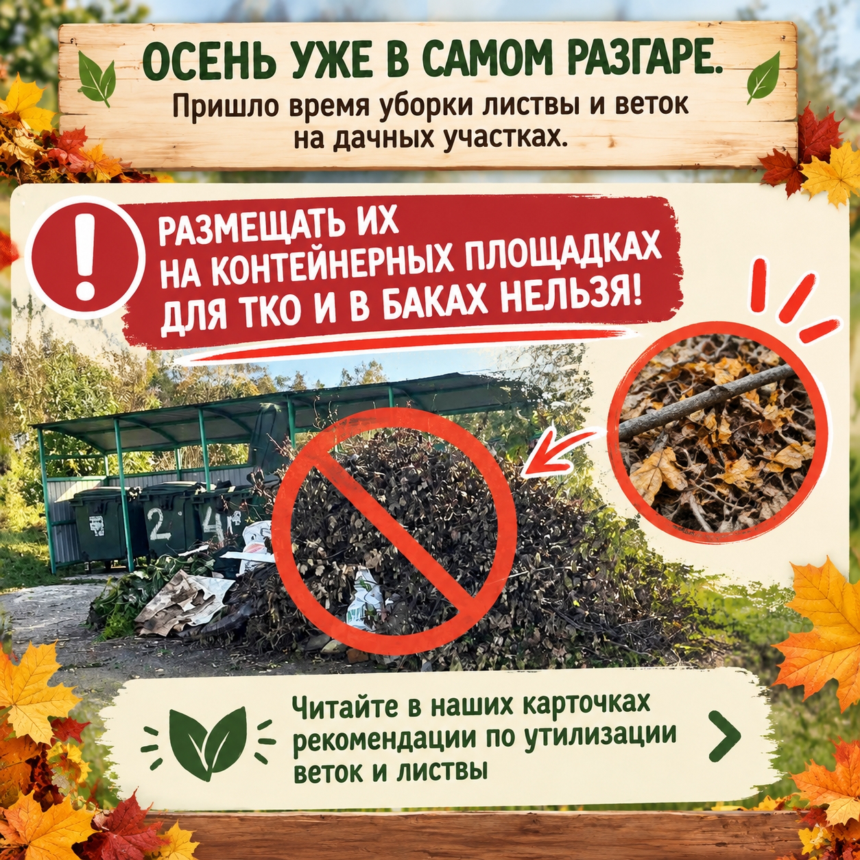 В Нижнем Тагиле дачникам напомнили о строгом запрете на выброс листвы в мусорные баки. Теги: уборка листвы, костер на даче, осенний сад