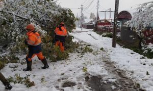 Нижний Тагил накрыл первый снегопад: дорожники перешли на экстренный график. Теги: Снегоуборочная машина, заснеженная дорога, ночной город