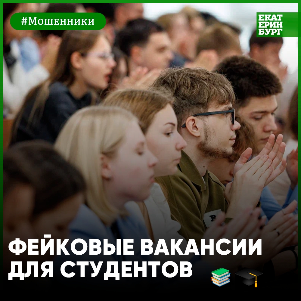 В Екатеринбурге мошенники объявили охоту на студентов под видом щедрых работодателей. Теги: Смартфон в руках, Студент за ноутбуком