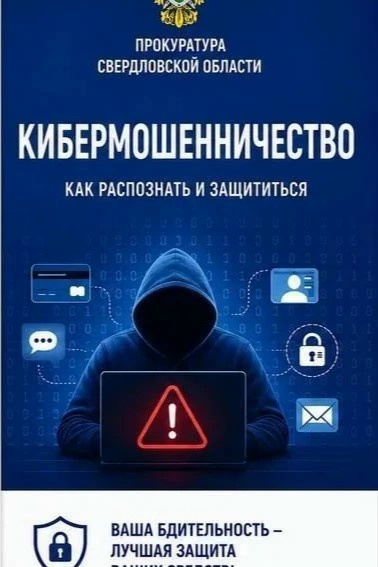 Прокуратура Свердловской области предупредила о новых схемах аферистов. Теги: смартфон в руках, киберпреступность, полиция