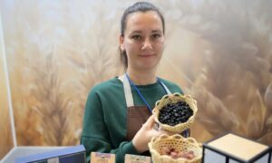 Агроэкспорт Свердловской области подскочил в полтора раза: куда уходит уральский урожай. Теги: Сбор зерна комбайном, Логистический терминал