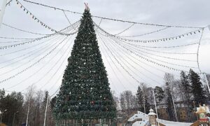 Новоуральск определил места для новогодних елей и снежного городка. Теги: Новогодняя елка, Снежный городок